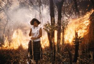 bushfire while on trek 2