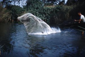 casting the net on trek