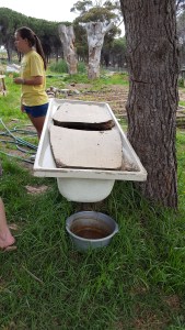 A very innovative compost heap and worm farm